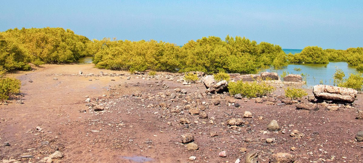 Marine National Park(Gulf of Kutch), Jamnagar, Gujarat - Vushii.com